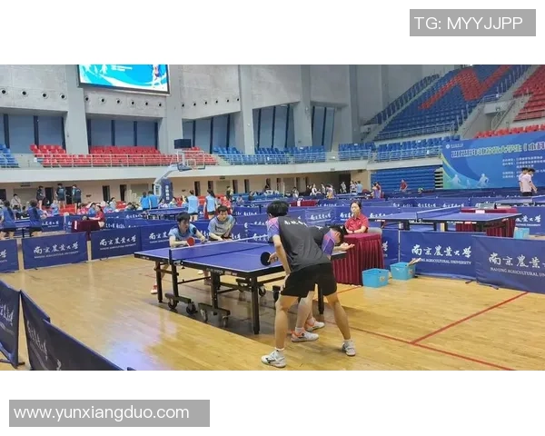 南京乒乓球队在全国锦标赛中的个人能力表现全面分析与点评