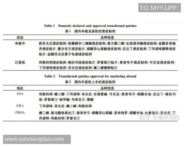 广州足球队近期状态全面分析与对比探讨
