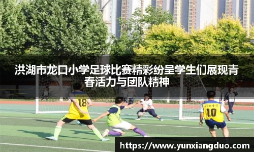 yy易游体育