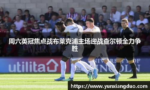 yy体育