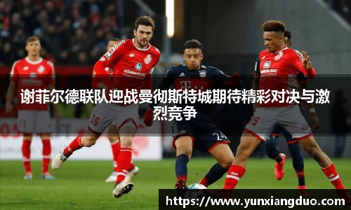 yy体育