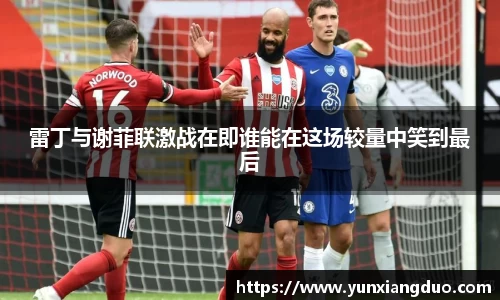yy易游