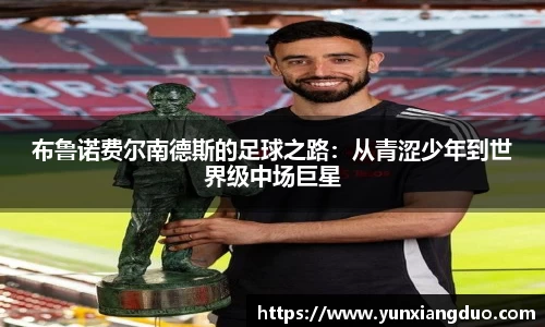 yy体育