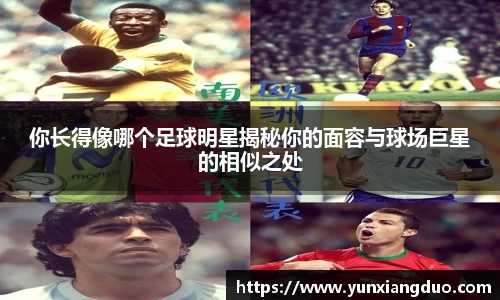 yy易游体育